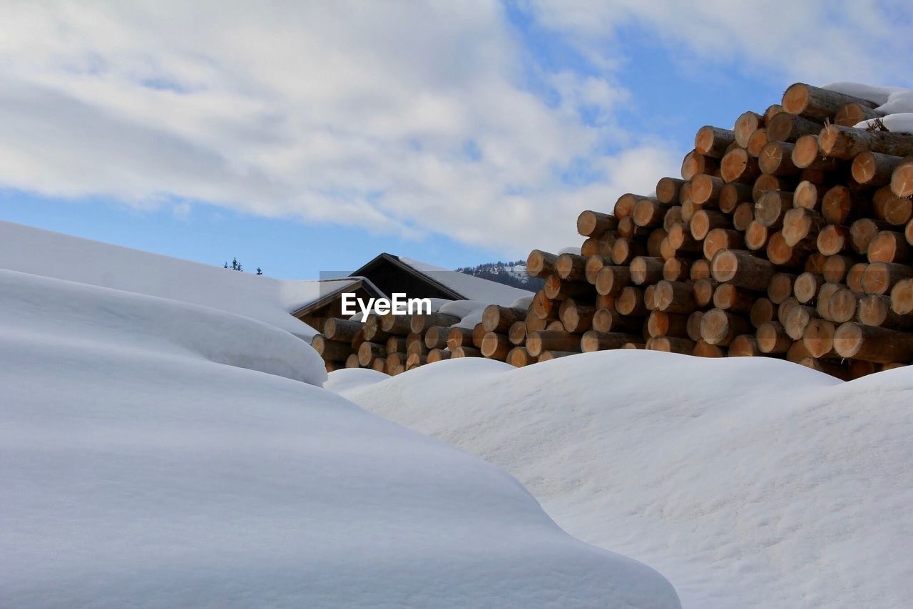 STACK OF LOGS IN SNOW