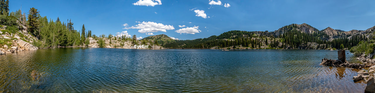 PANORAMIC VIEW OF LAKE AND TREES AGAINST SKY