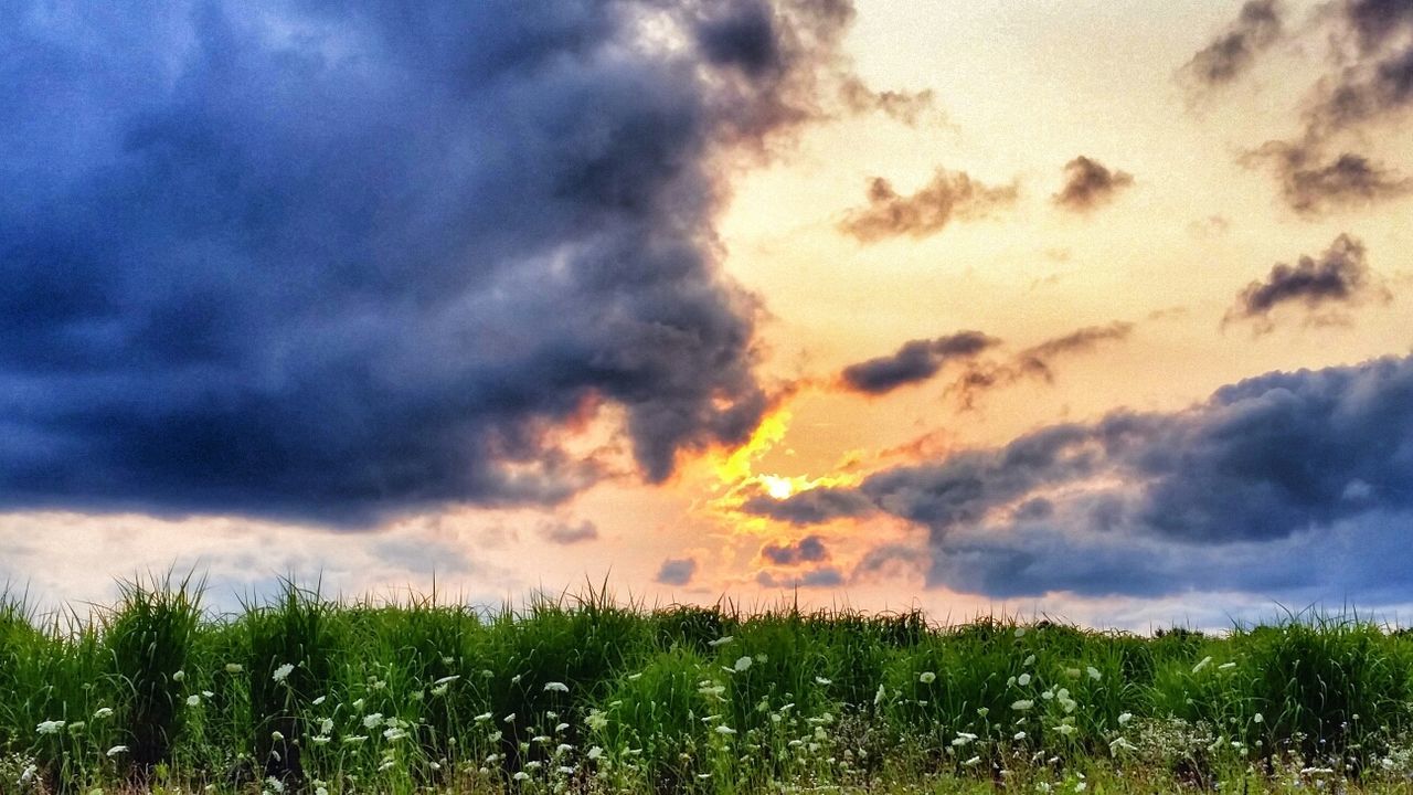 Clouds over meadow