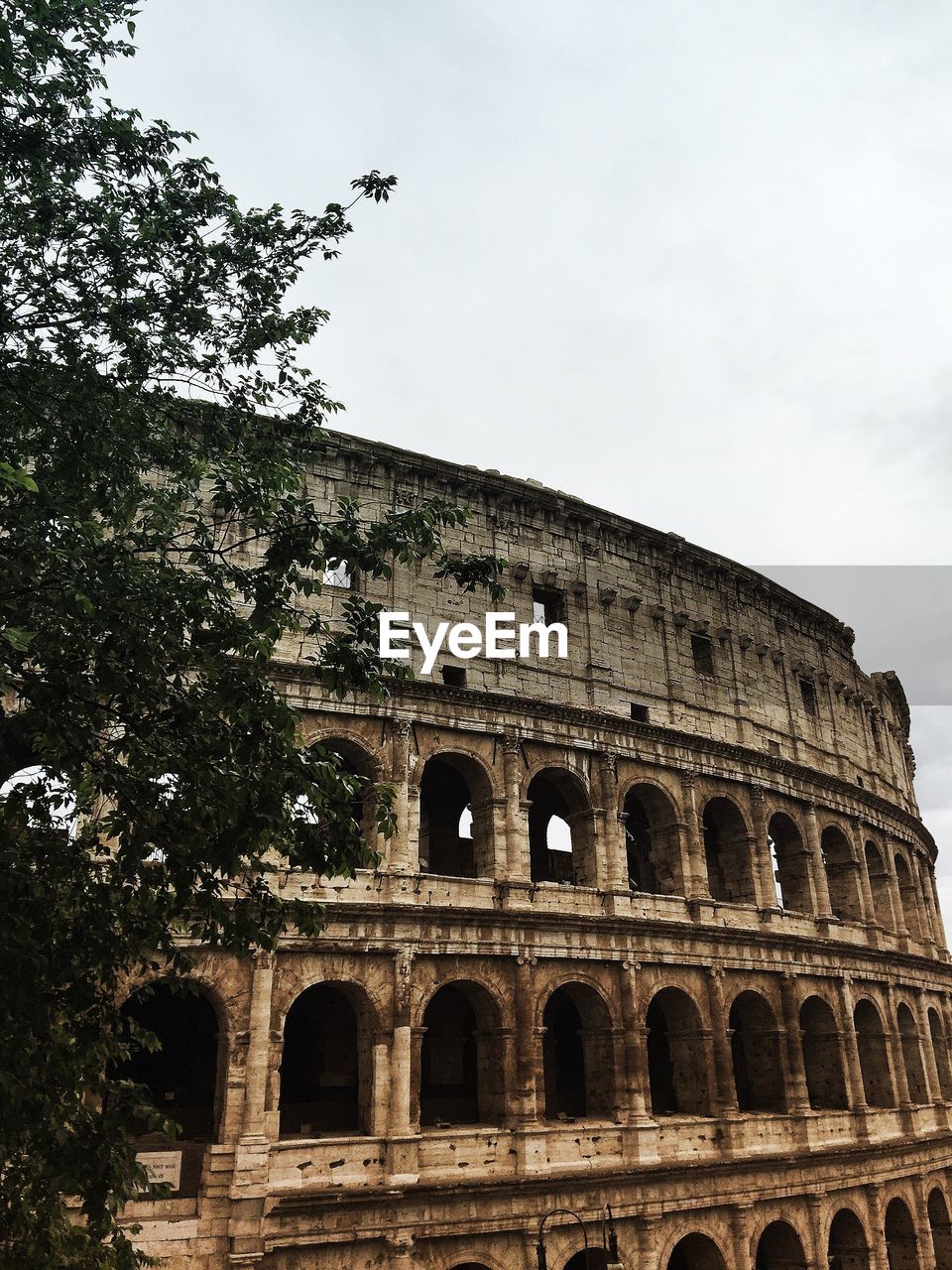 Low angle view of colosseum