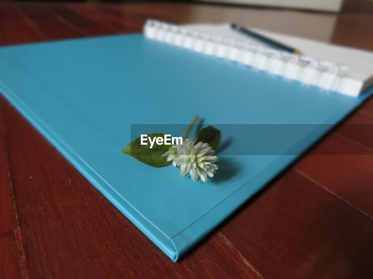 HIGH ANGLE VIEW OF FLOWER ON TABLE IN BOOK
