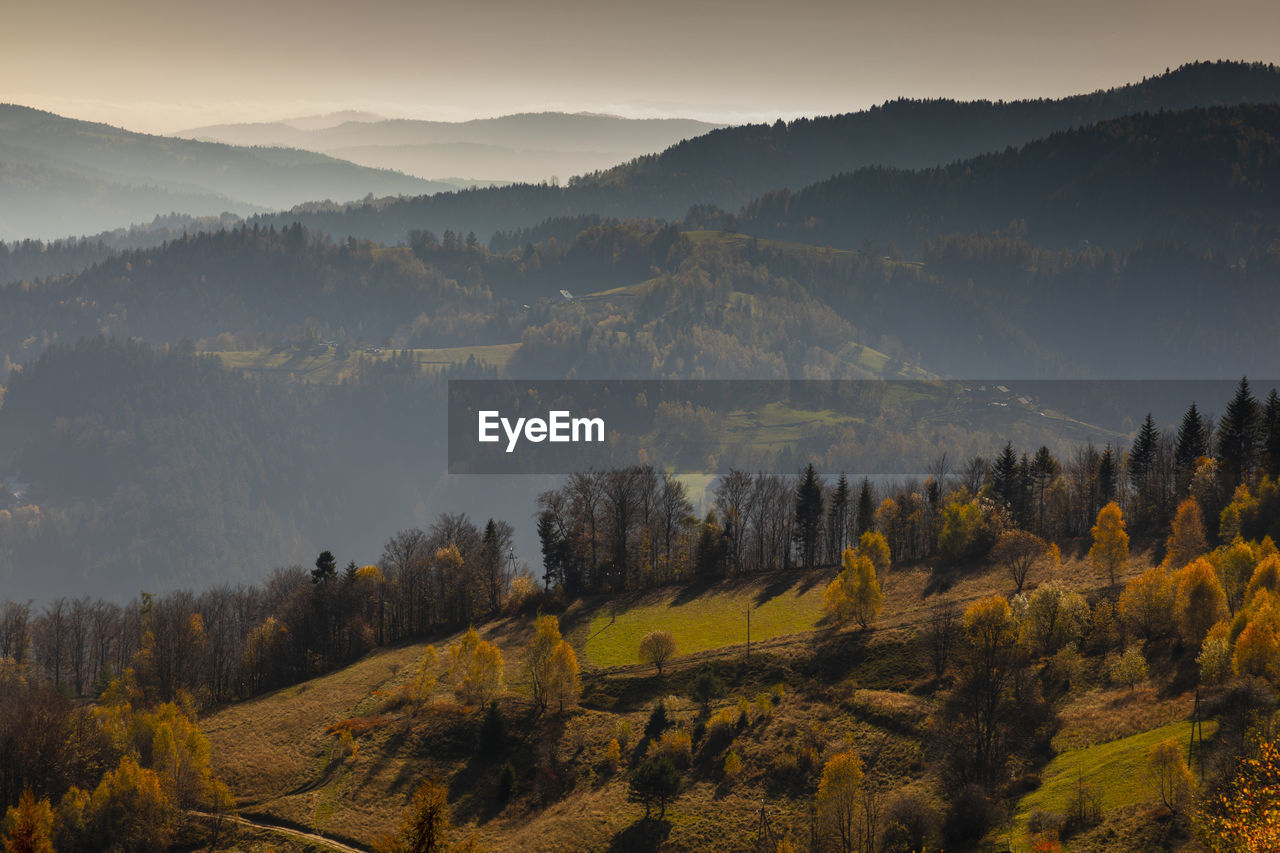 Scenic view of trees and mountains against sky