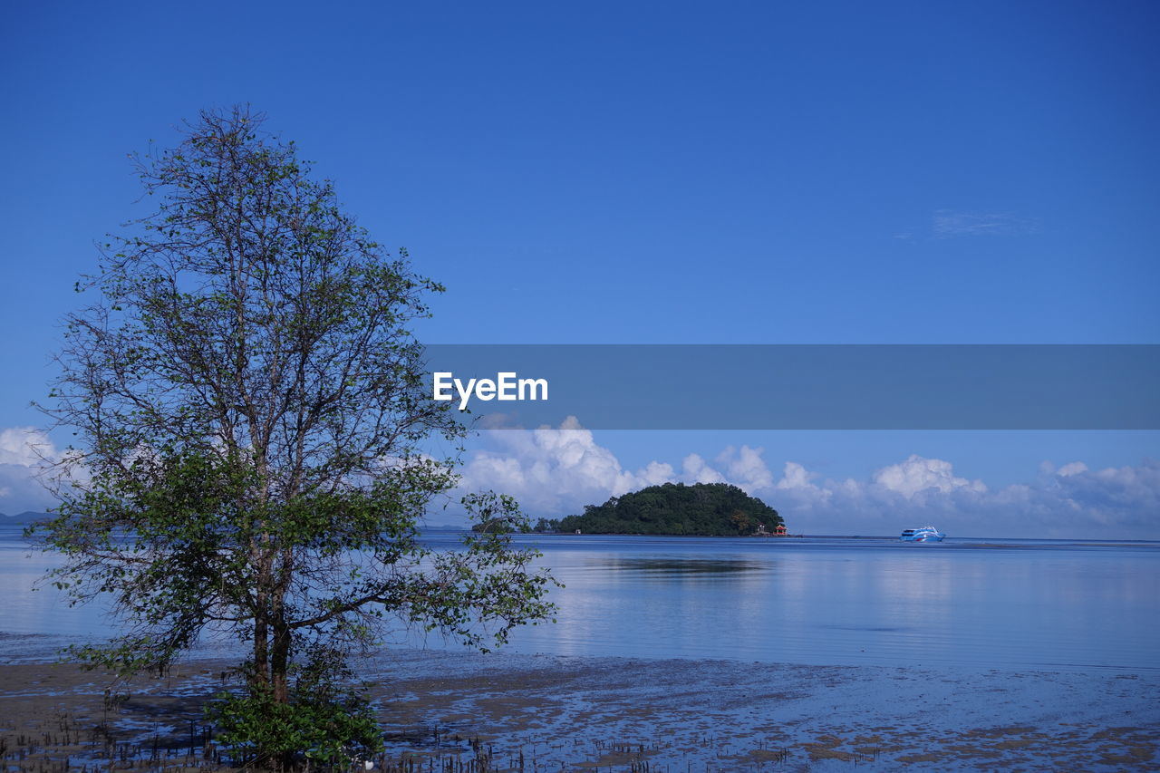 Scenic view of sea against blue sky