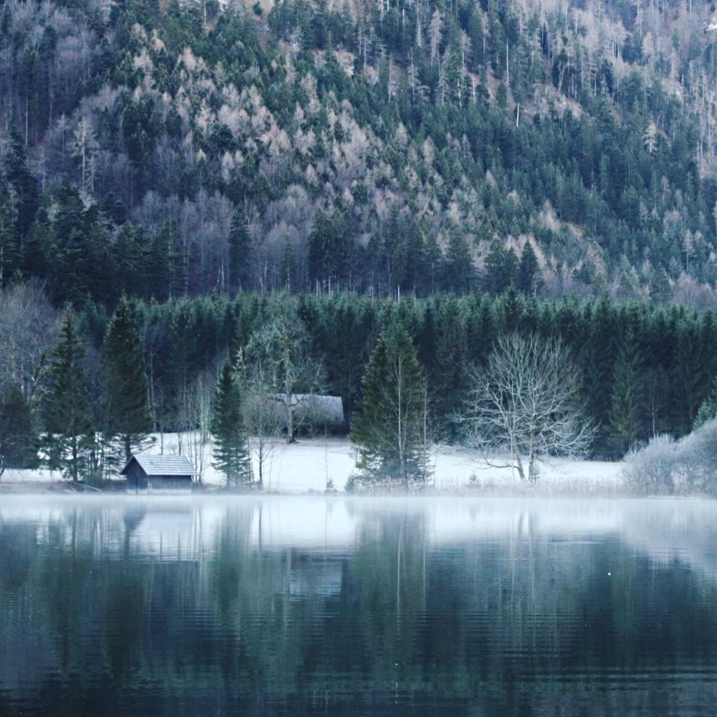 SCENIC VIEW OF LAKE