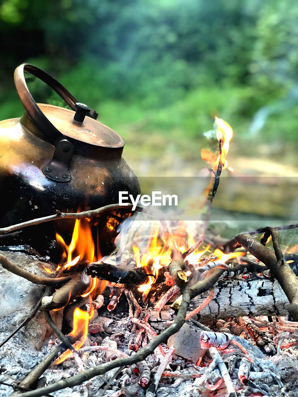 Bonfire on wooden log