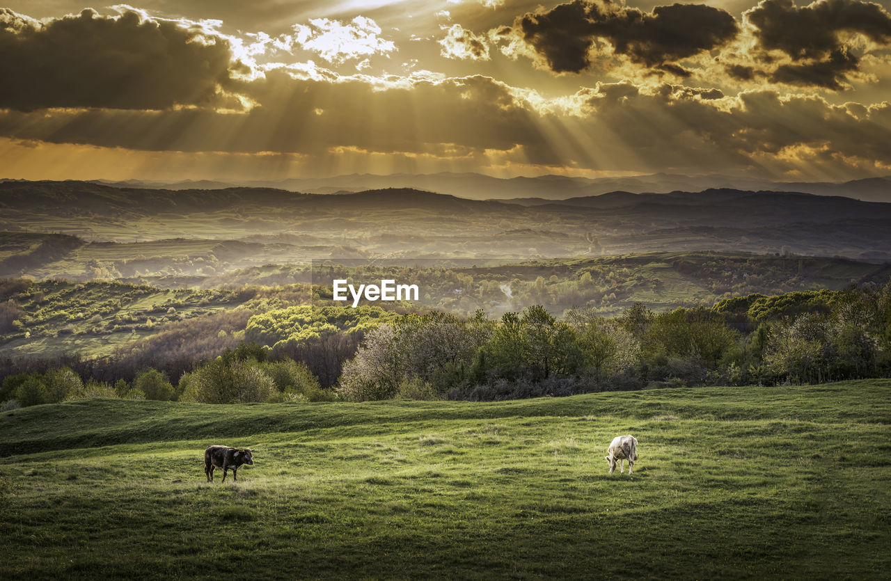 Landscape with cloudy sky in background