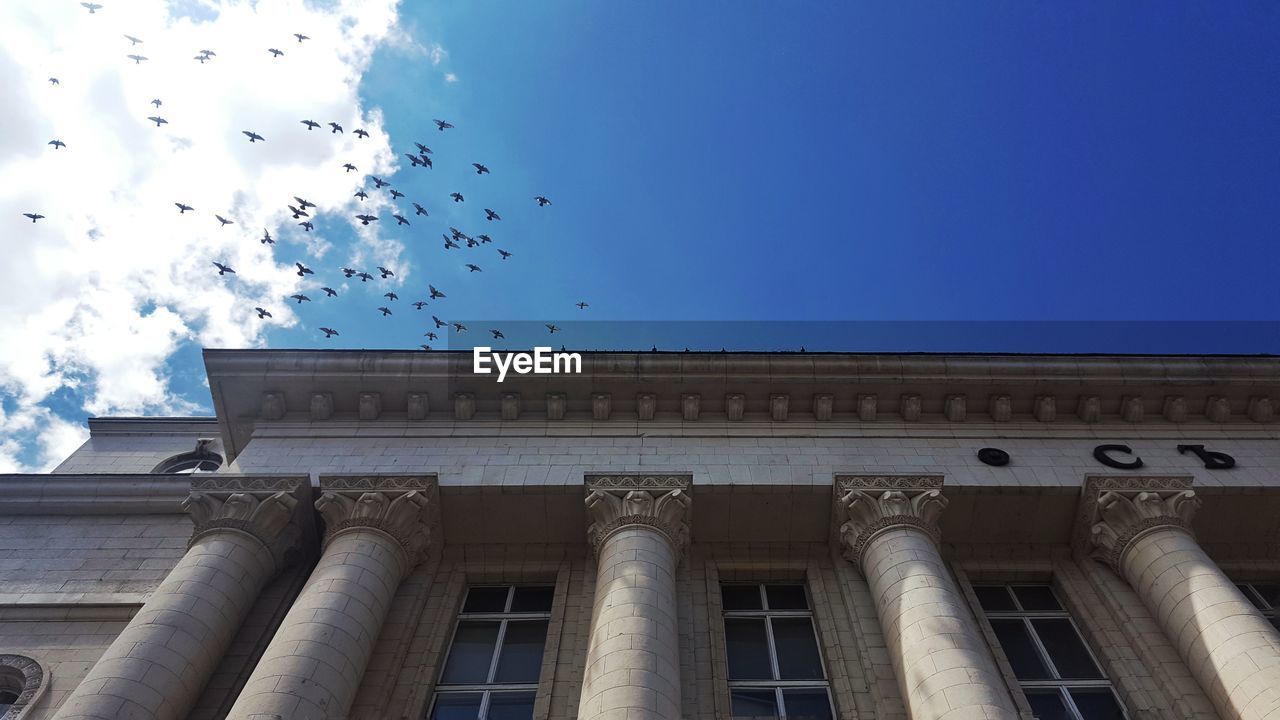 Low angle view of birds flying against sky