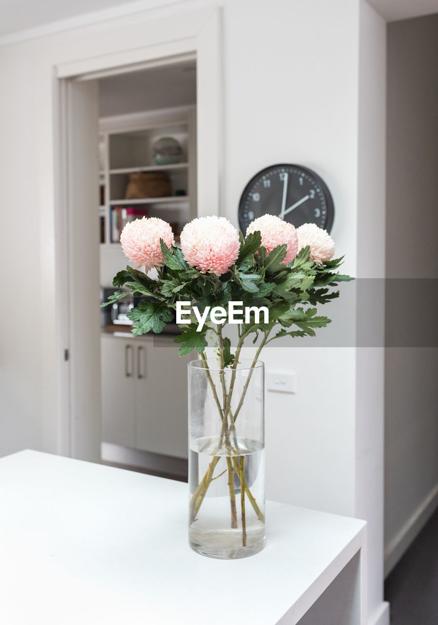 Vertical view of pink and cream chrysanthemums in glass vase on bench with kitchen in background 