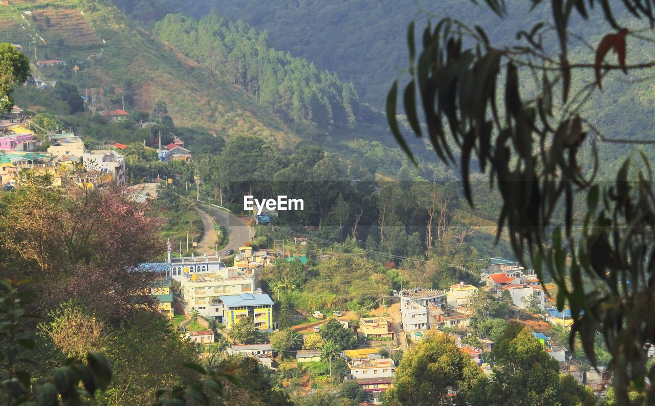 plant, tree, nature, architecture, built structure, mountain, building exterior, building, growth, high angle view, beauty in nature, land, no people, scenics - nature, flower, day, house, town, landscape, environment, outdoors, residential district, mountain range, village, city, sunlight, tranquility, valley