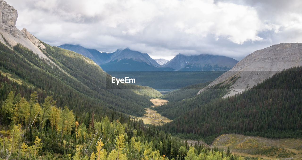 View on alpine valley with forest and mountains,mount smutwood,kananaskis, alberta, canada