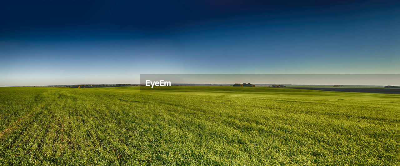SCENIC VIEW OF FARM FIELD AGAINST SKY