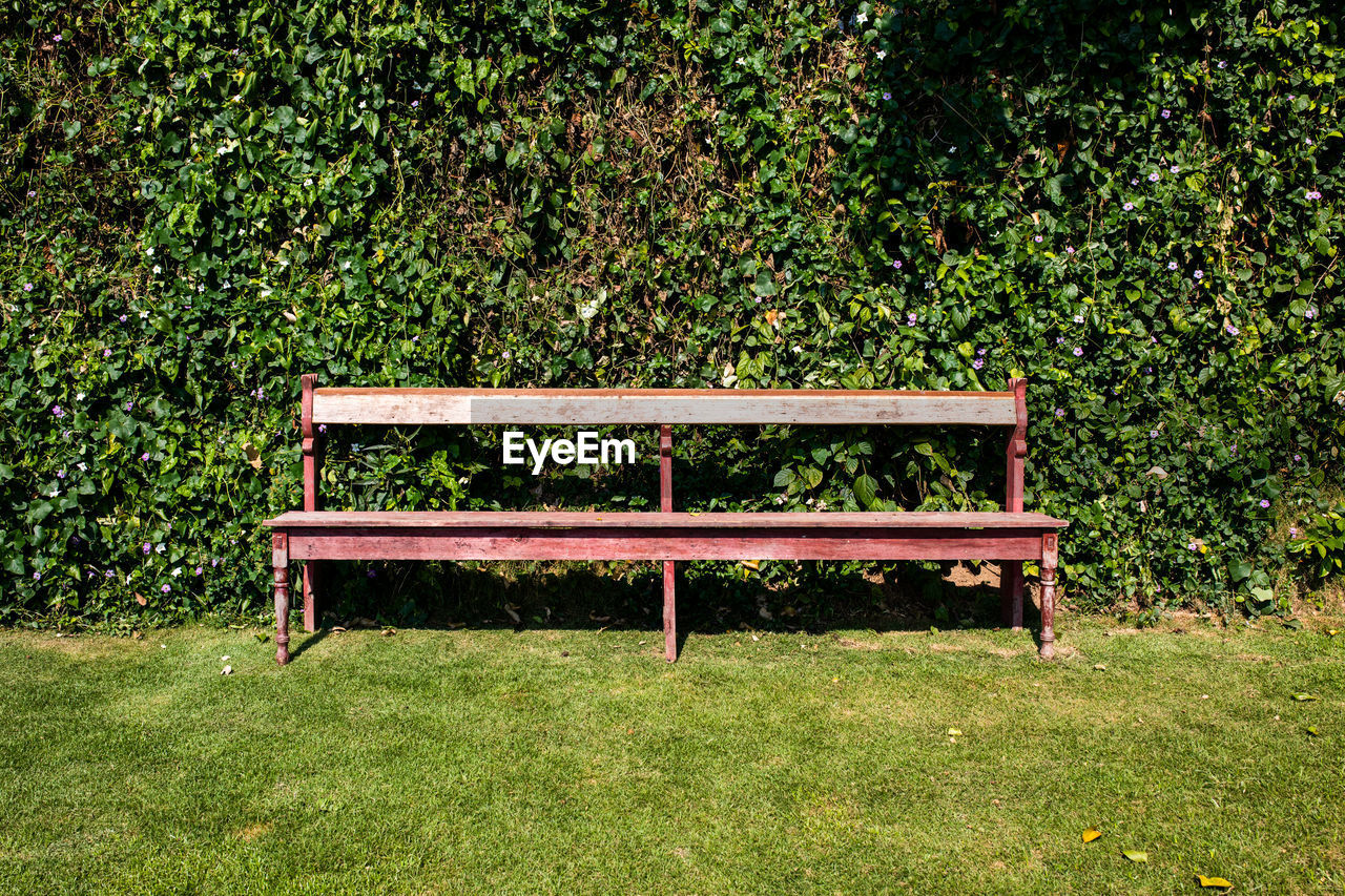 BENCH IN PARK