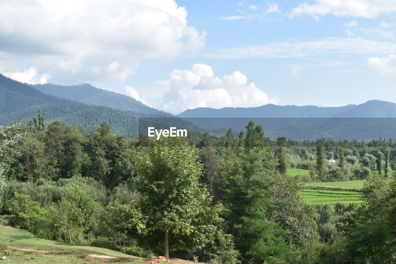 Scenic view of trees and mountains against sky