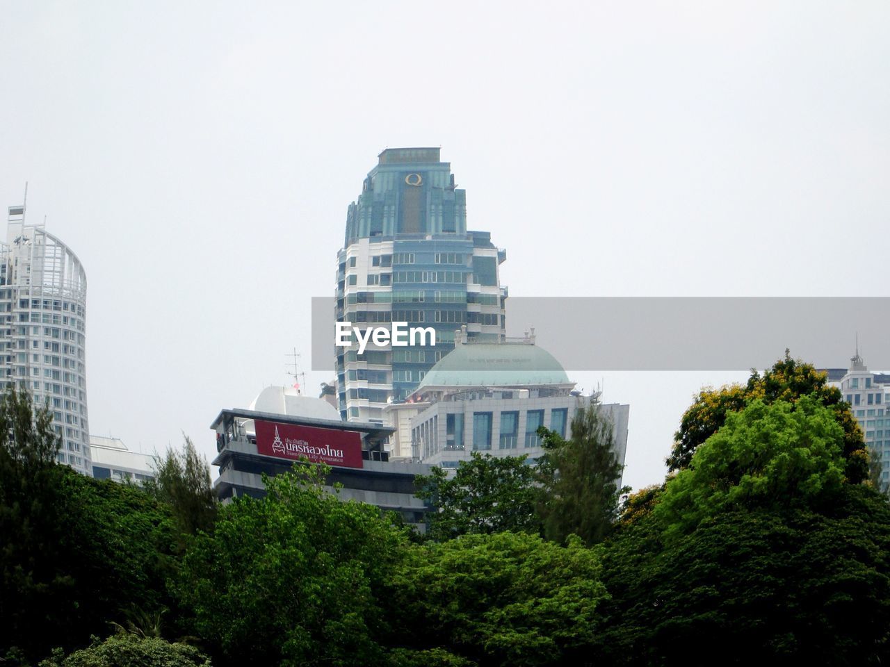 LOW ANGLE VIEW OF TREES IN CITY