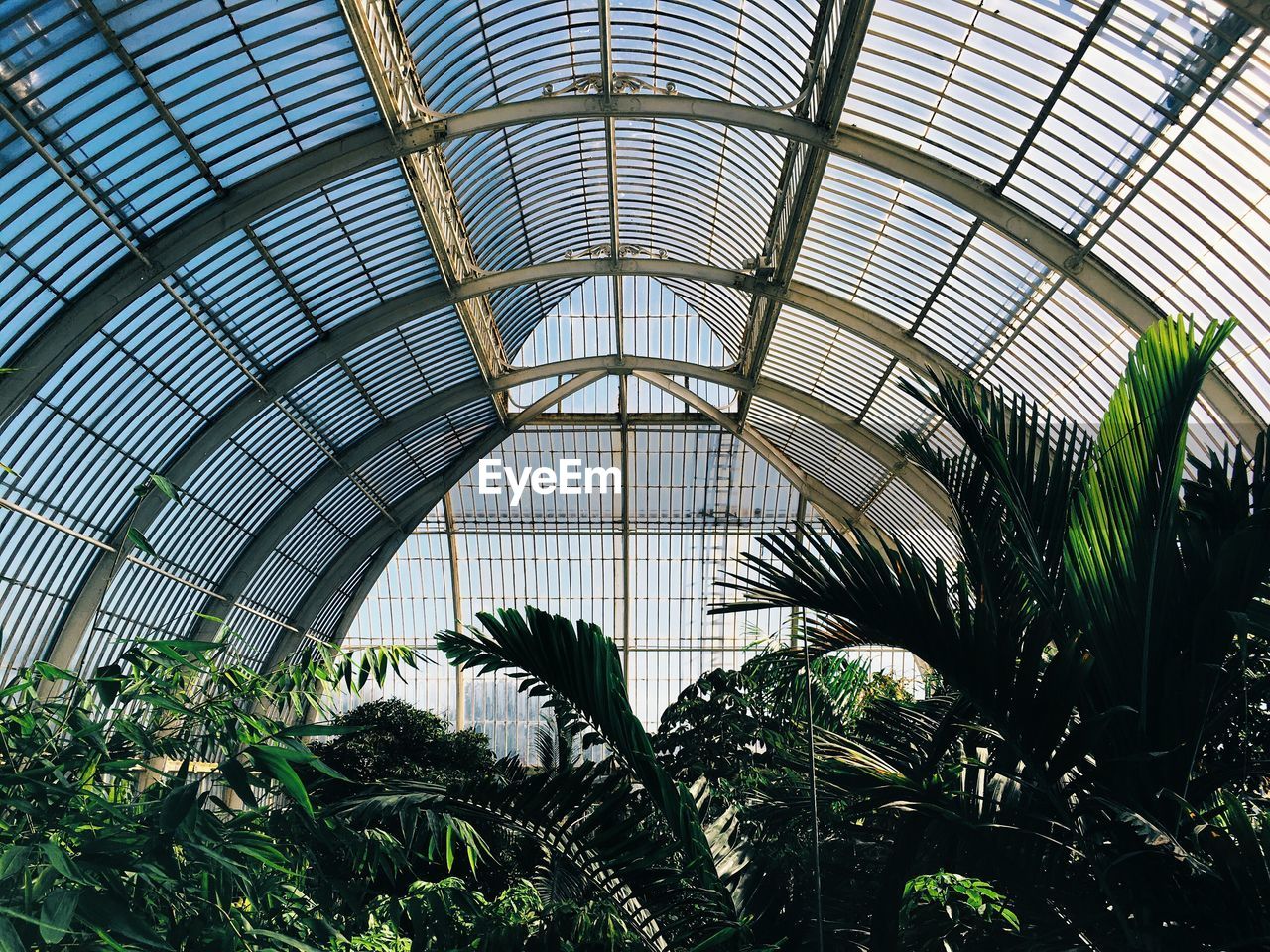 VIEW OF GREENHOUSE