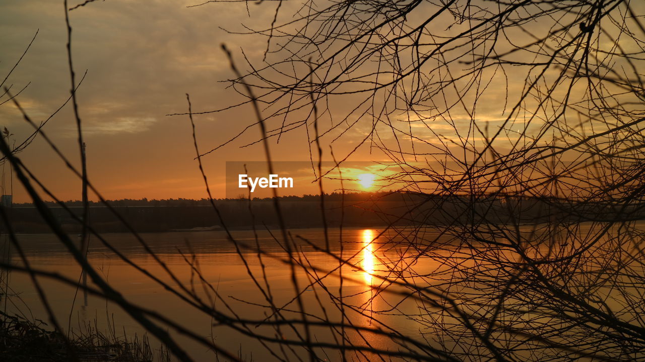 SILHOUETTE TREES BY LAKE AGAINST ORANGE SKY