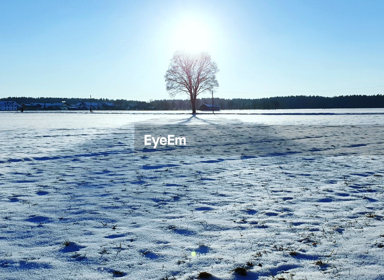 SCENIC VIEW OF SNOW COVERED LAND AND TREES AGAINST SKY