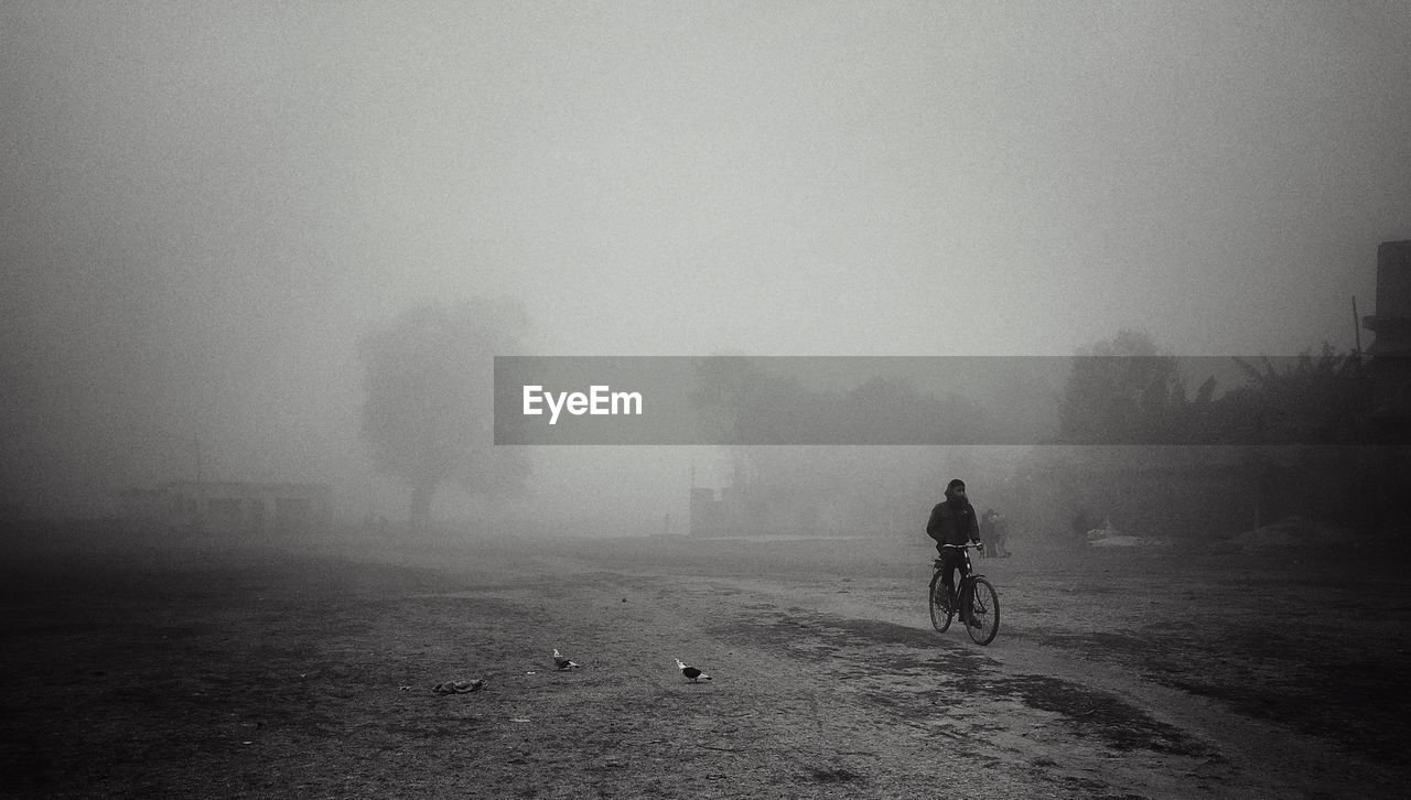 Man riding bicycle on road