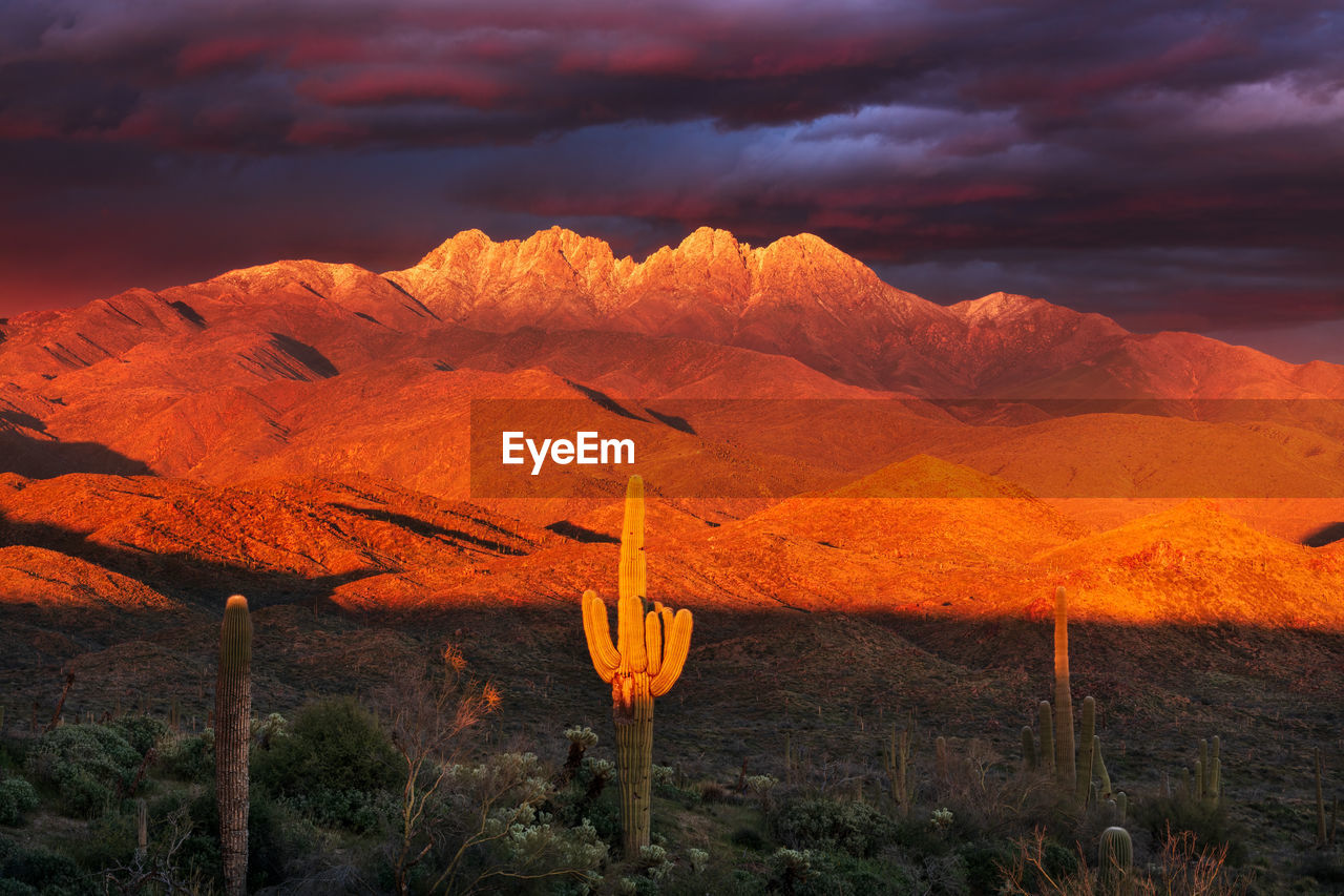 Scenic desert landscape with snowcapped mountains at sunset near phoenix, arizona