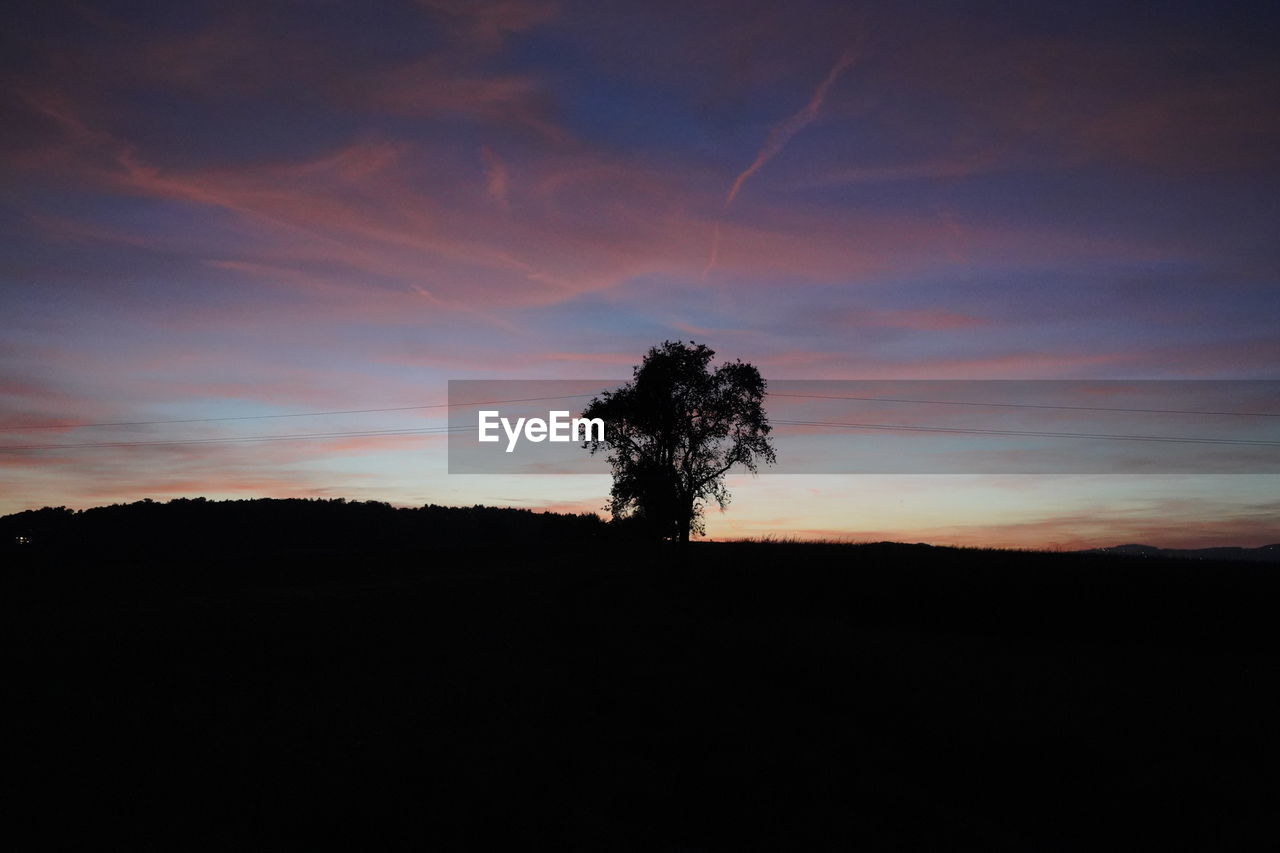 SILHOUETTE TREE ON FIELD AGAINST SKY DURING SUNSET