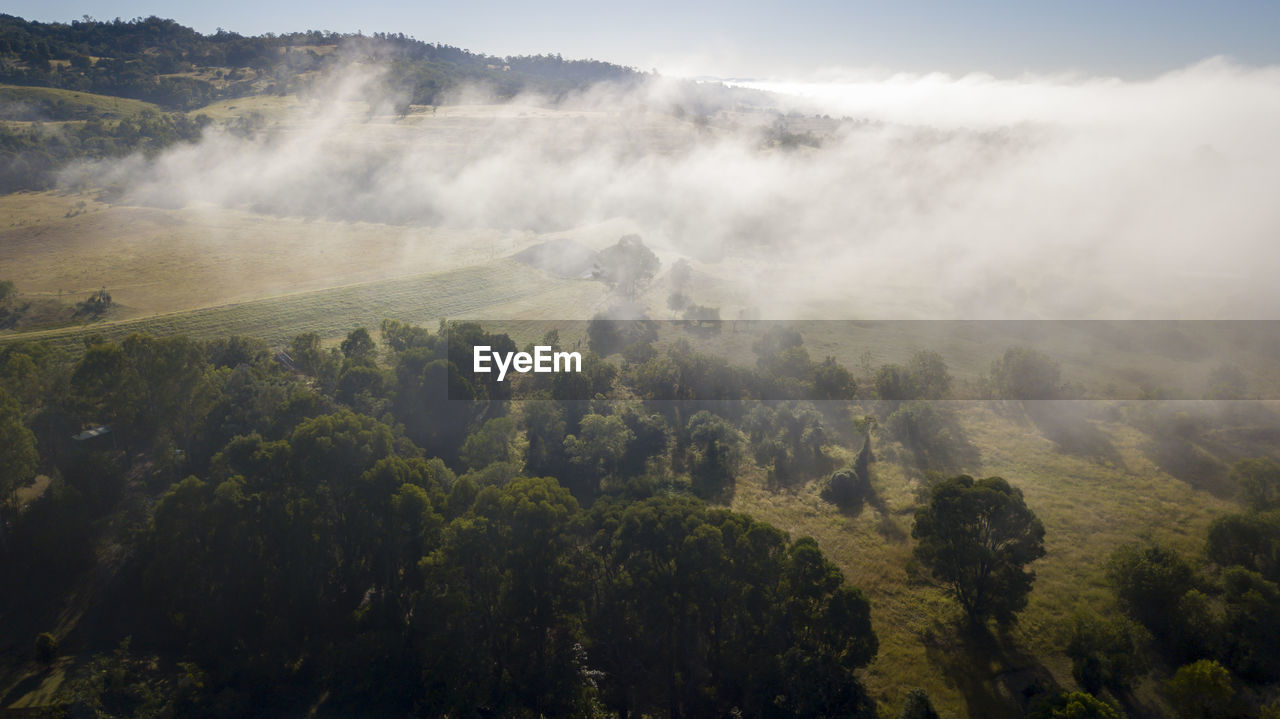 Scenic view of trees on mountain against sky