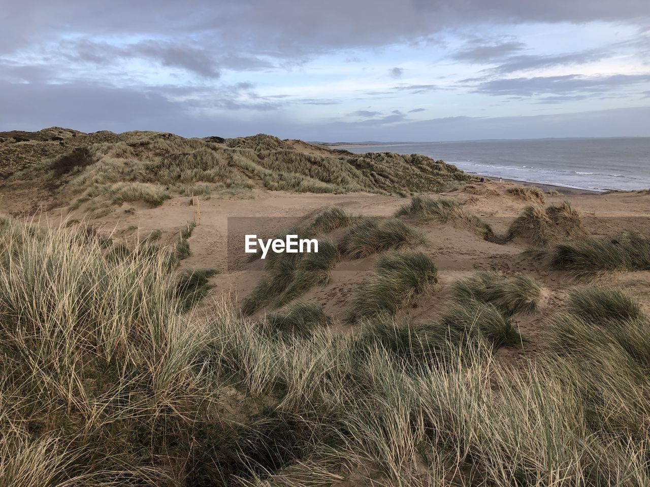 The sand dunes of murlough beach, newcastle northern ireland