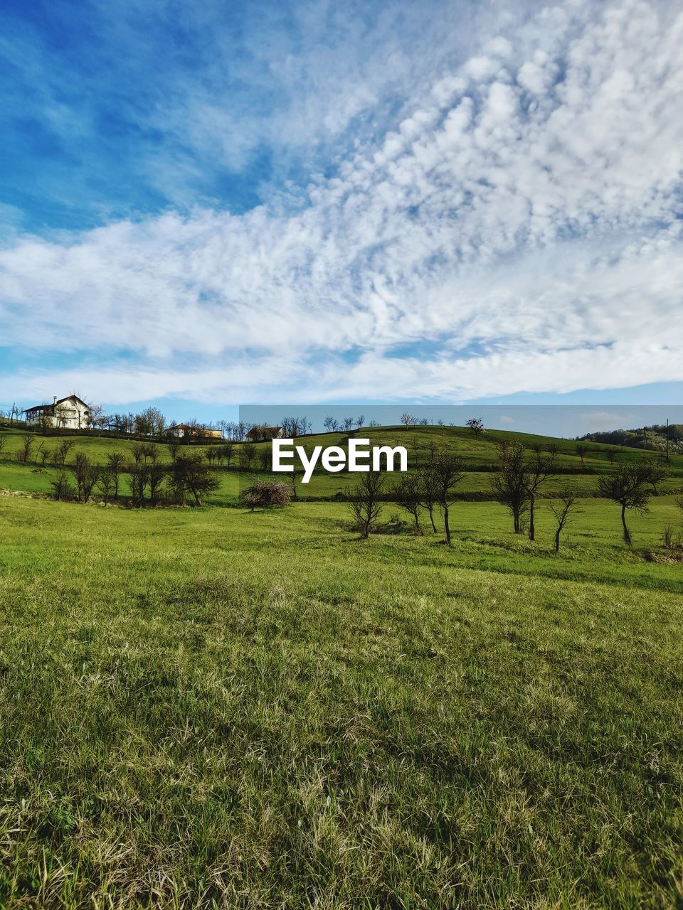 SCENIC VIEW OF FARM FIELD AGAINST SKY