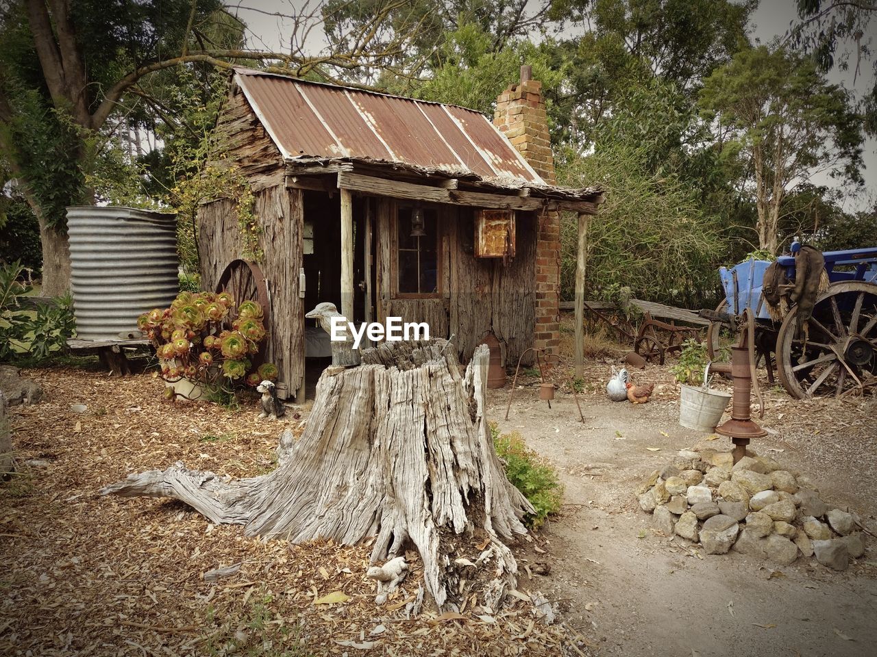 HOUSE AND TREE