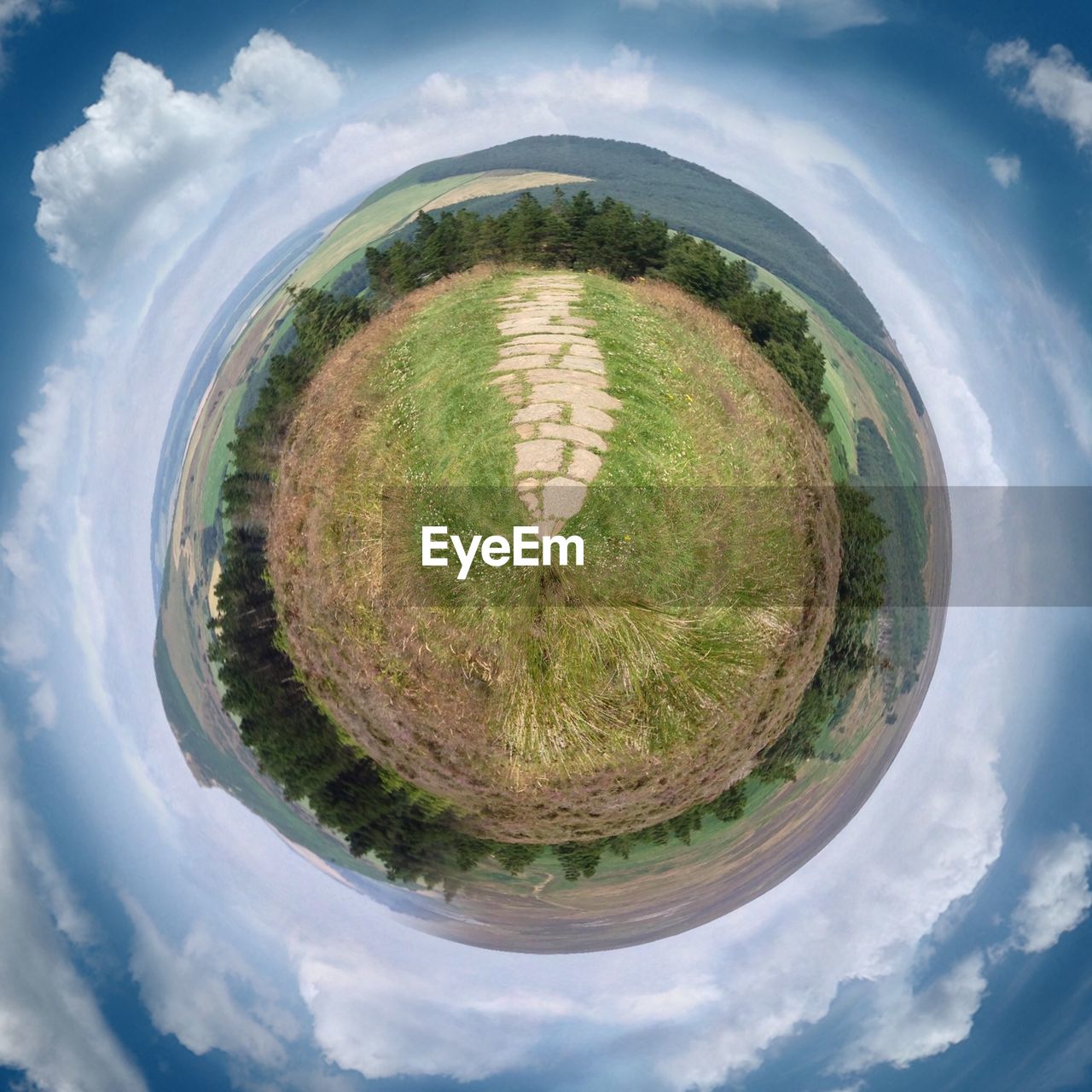 Composite image of landscape representing reforestation concepts