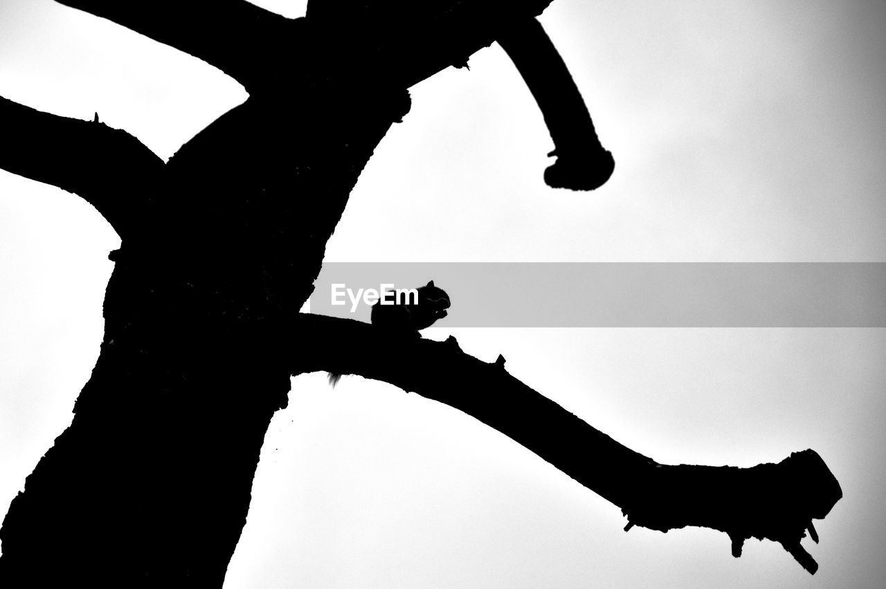 SILHOUETTE OF PEOPLE AGAINST SKY