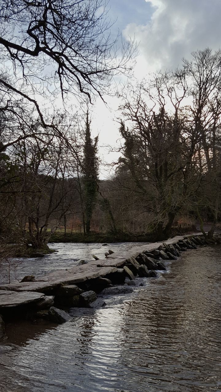 RIVER AMIDST BARE TREES AGAINST SKY