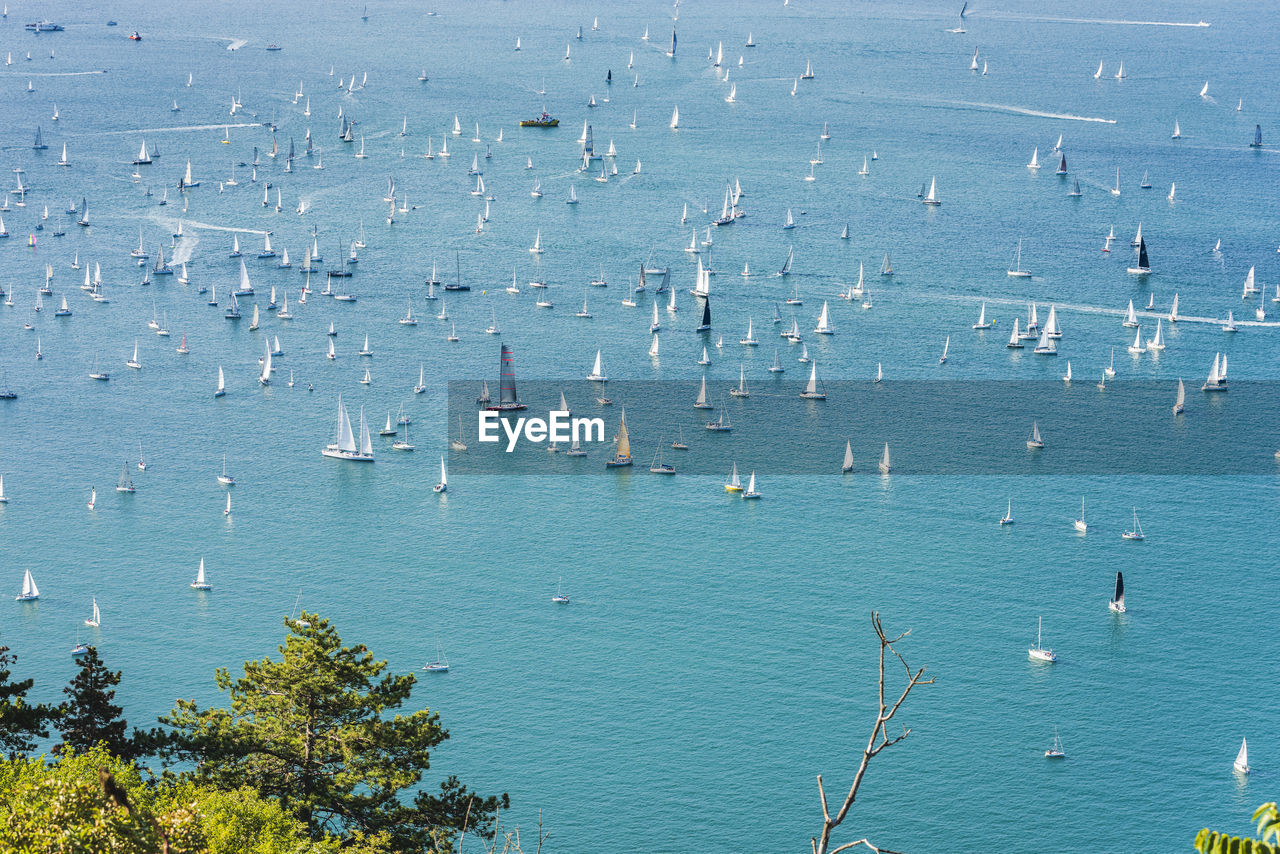 HIGH ANGLE VIEW OF SAILBOATS IN SEA