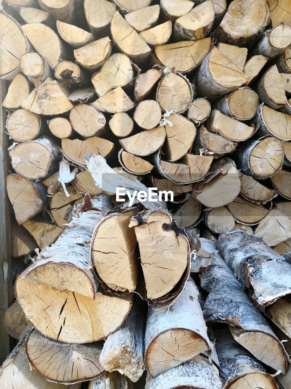 Full frame shot of logs in forest