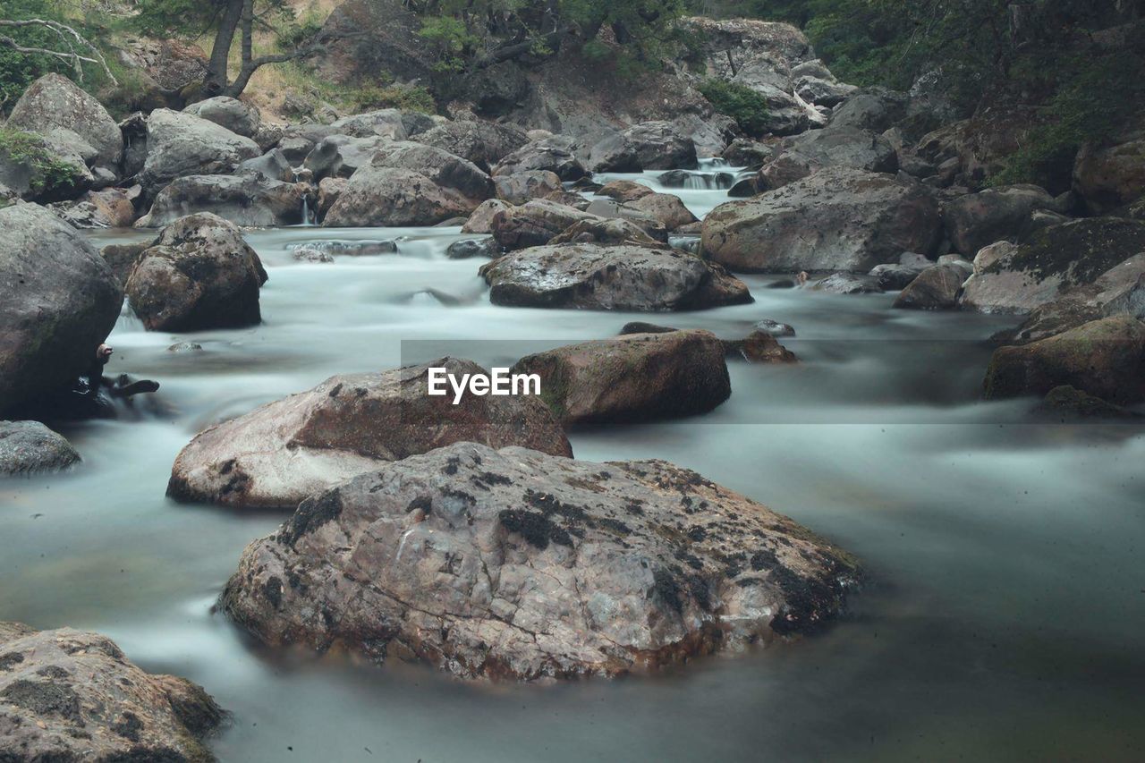 Rocky stream in forest