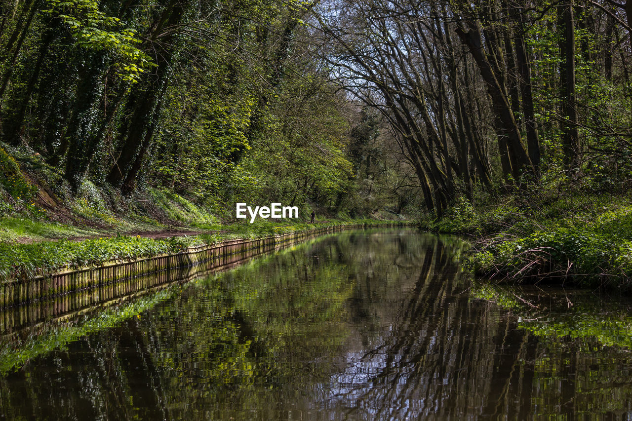 Scenic view of river by trees against sky