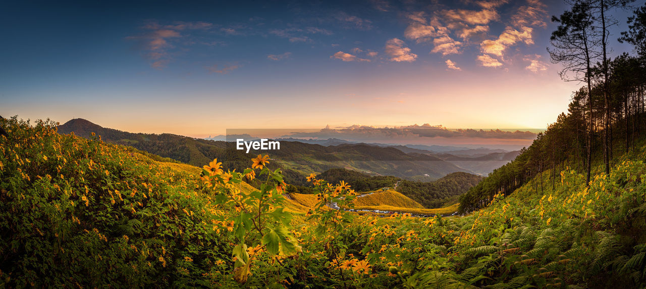 Scenic view of landscape against sky during sunset