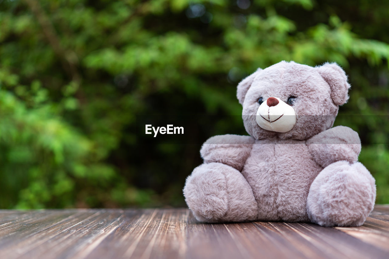 toy, teddy bear, stuffed toy, childhood, animal representation, representation, wood, cute, plush, nature, softness, animal, day, cartoon, outdoors, emotion, selective focus, mammal, animal themes