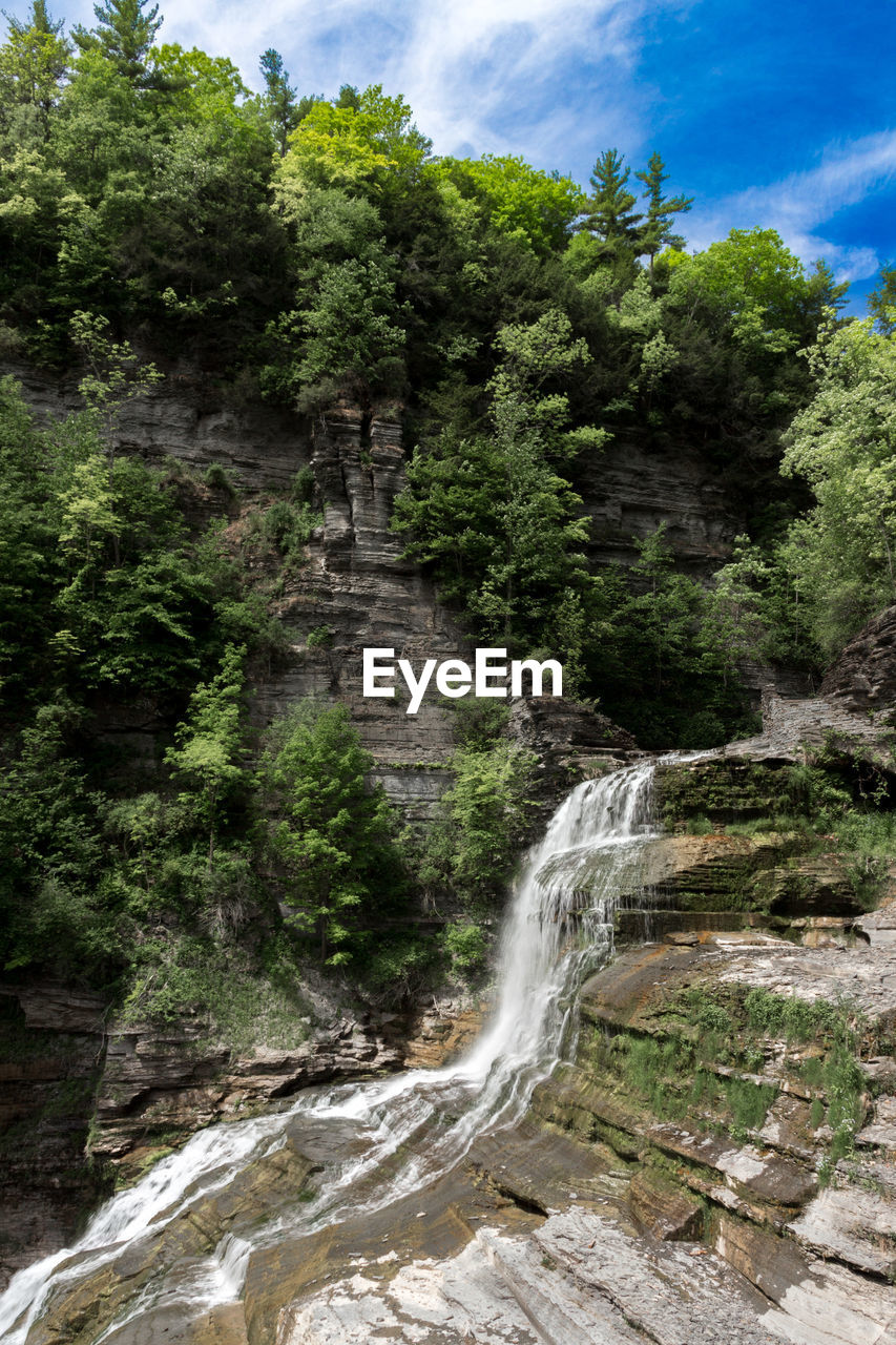 Waterfall in forest