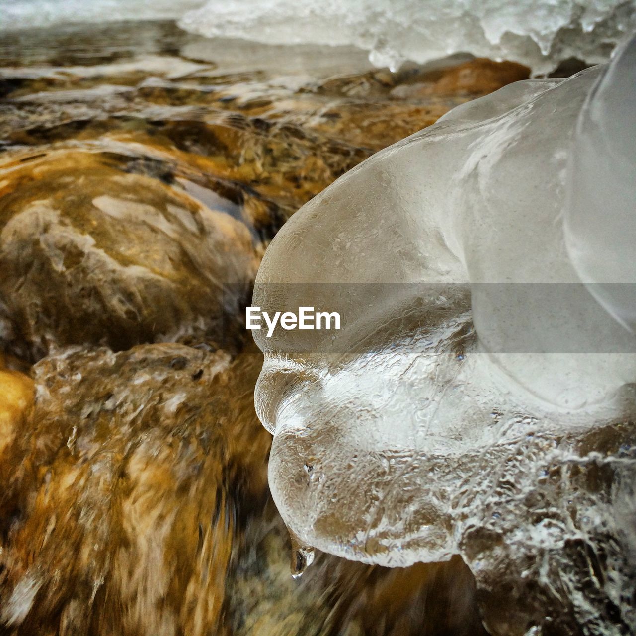 Close-up of ice over flowing stream