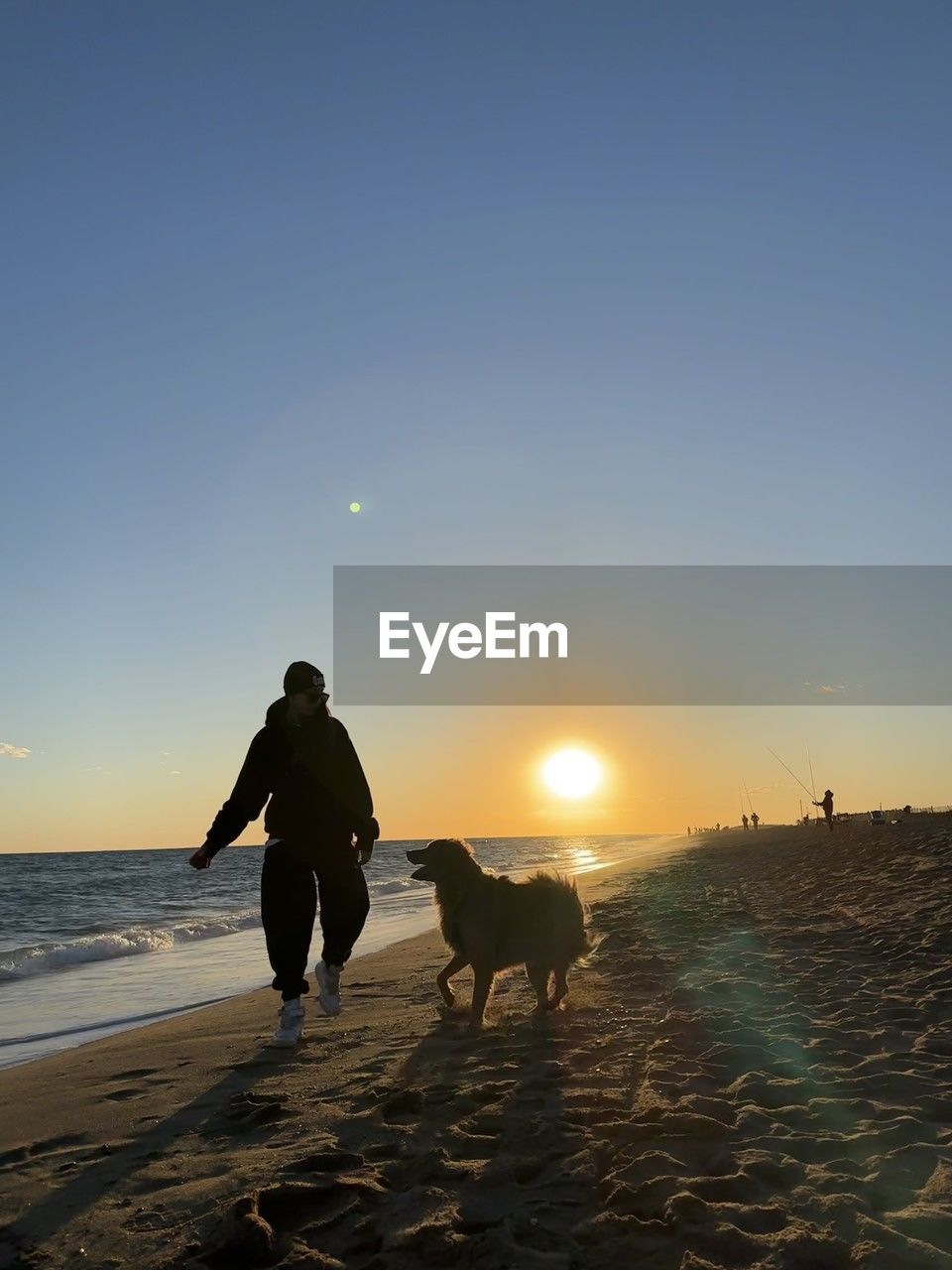 sky, dog, ocean, animal, horizon, sea, animal themes, mammal, domestic animals, beach, land, pet, one animal, sunset, canine, nature, water, coast, silhouette, full length, beauty in nature, sand, adult, walking, sunlight, leisure activity, wave, motion, carnivore, sun, men, lifestyles, clear sky, copy space, scenics - nature, one person, rear view, person, shore, tranquility, outdoors, women, back lit, holiday, vacation, evening, trip, horizon over water
