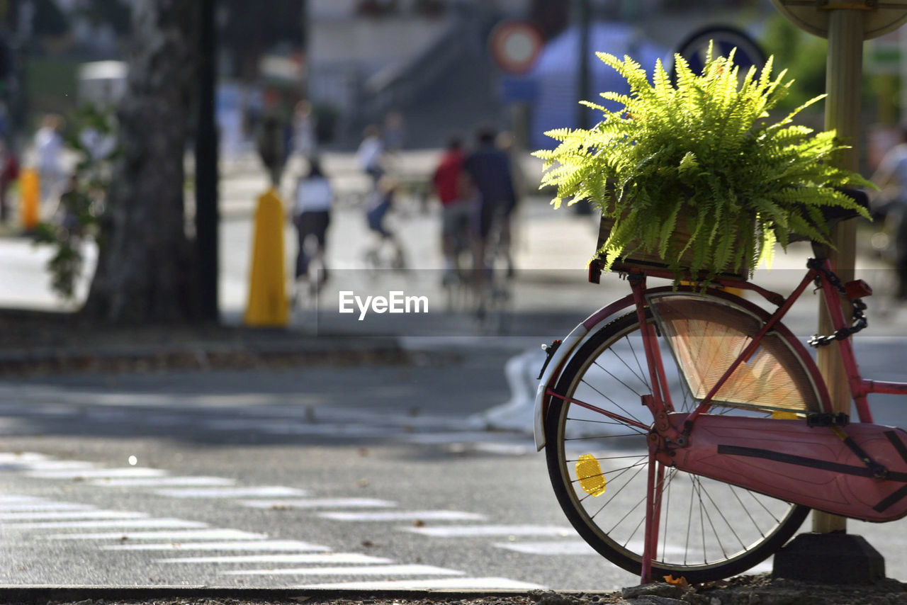 Close-up of bicycle on sidewalk in city