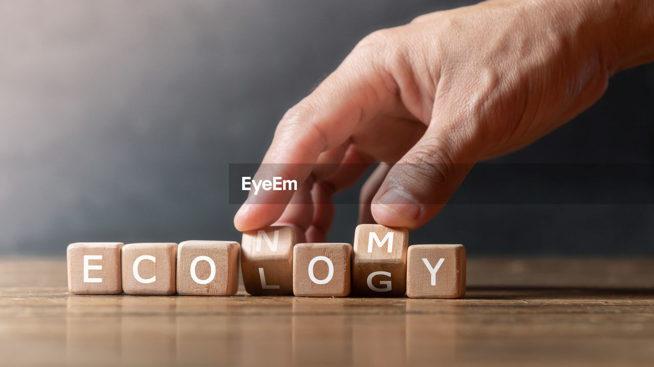 Ecology and economy word in wood dice