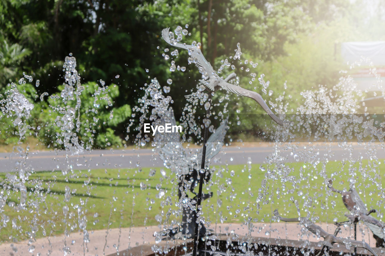 water, splashing, nature, fountain, spraying, motion, plant, flower, day, drop, no people, outdoors, water feature, tree, wet, sunlight, branch, architecture, focus on foreground, freshness, refreshment, sprinkler, watering, garden, beauty in nature