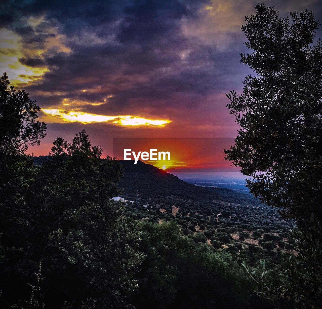 SCENIC VIEW OF TREE MOUNTAINS AGAINST SKY