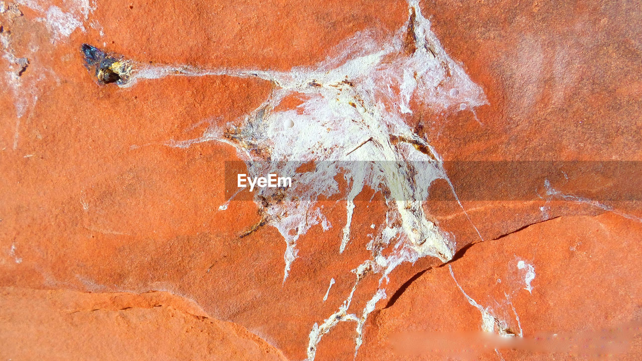 Directly above view of bird droppings on rock