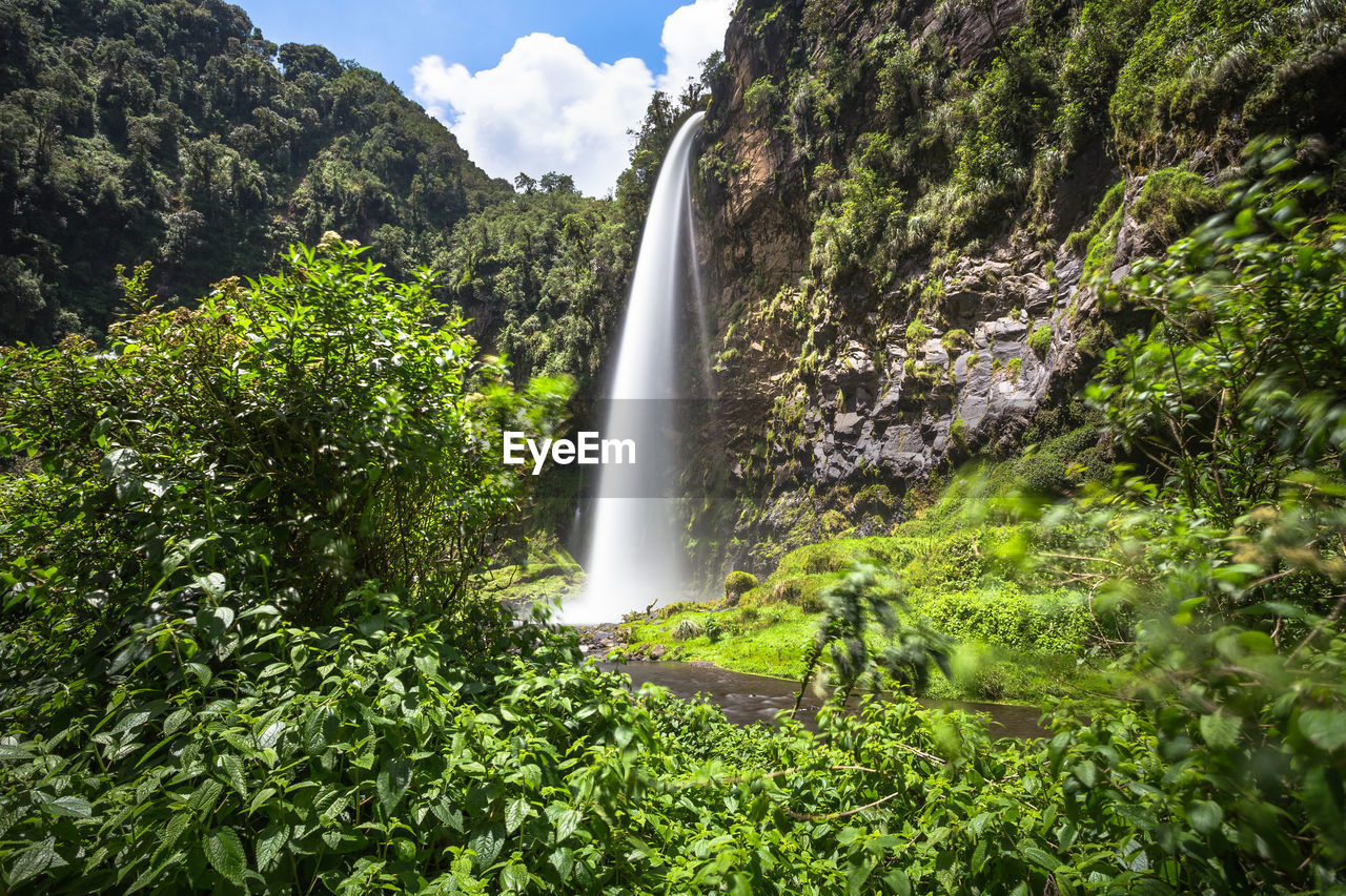 Condor machay waterfall and forest in sangolqui, ecuador