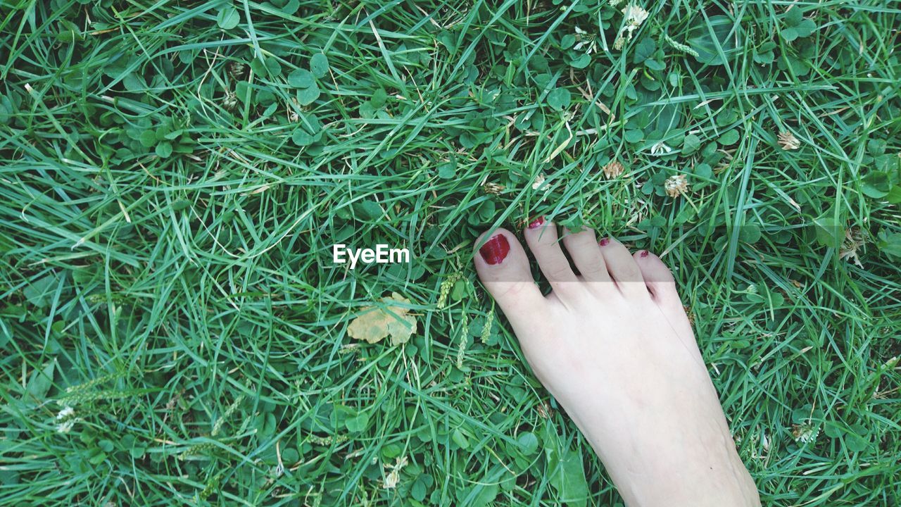 Low section of woman on grass