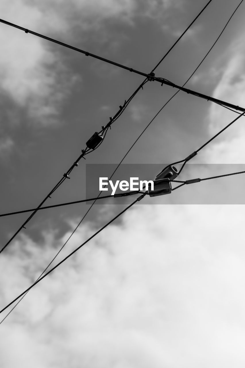 LOW ANGLE VIEW OF BIRDS ON CABLE