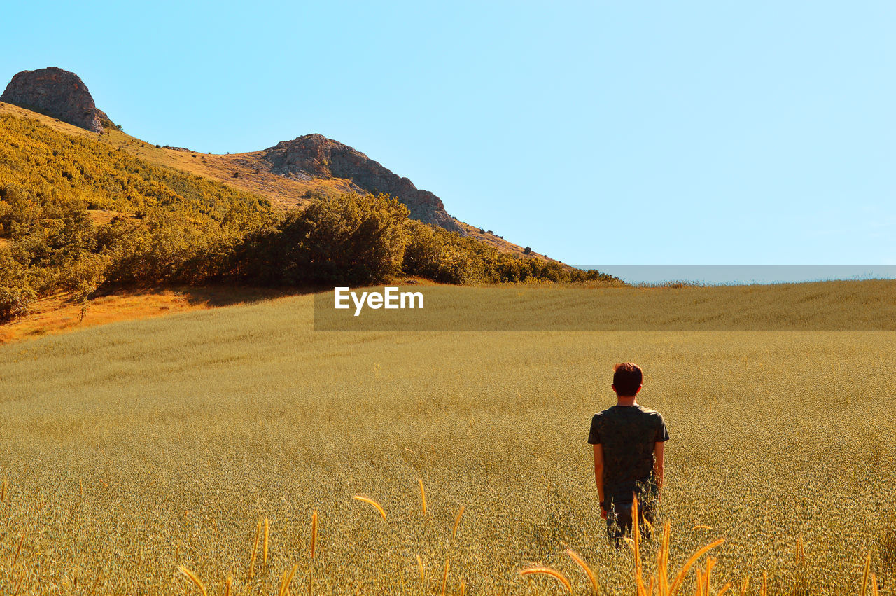 Rear view of man on field against clear sky