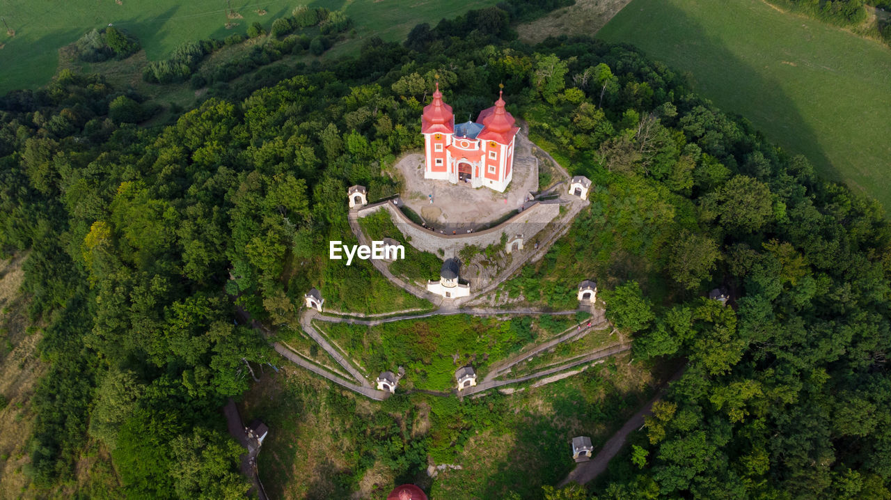 HIGH ANGLE VIEW OF TREES